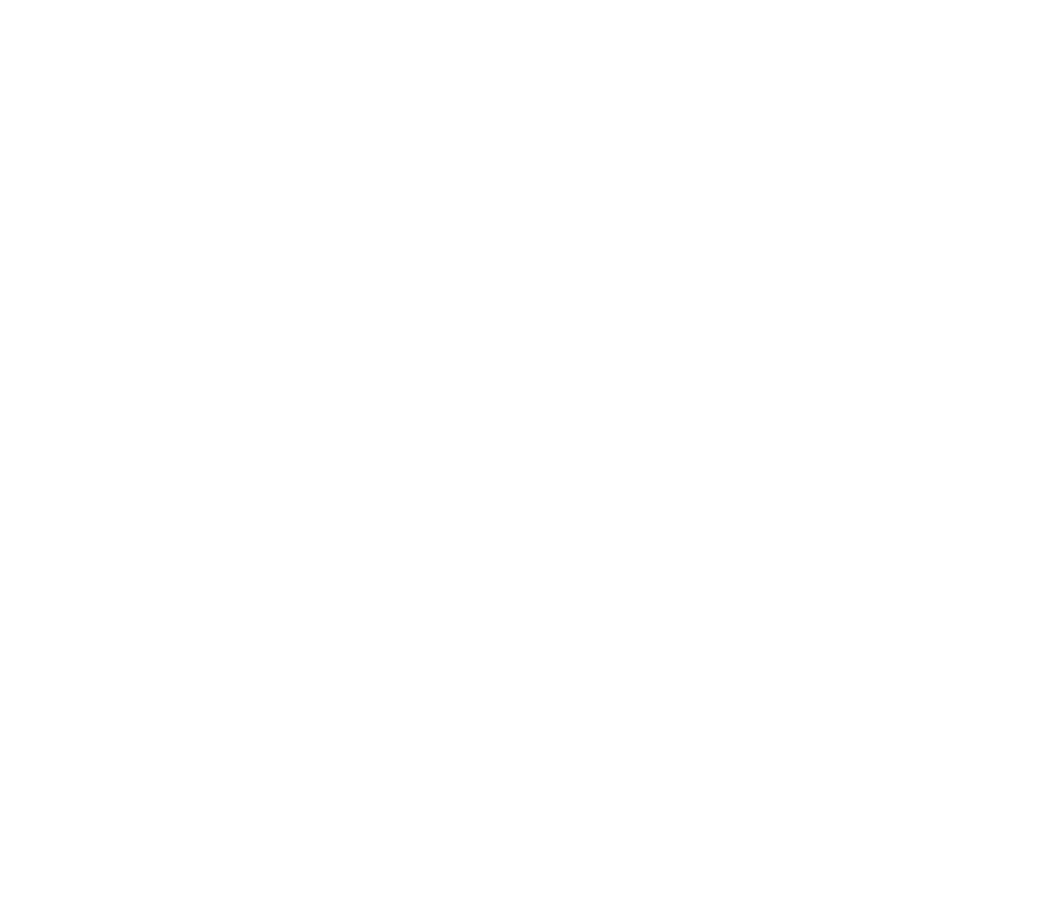 EVOBIKE