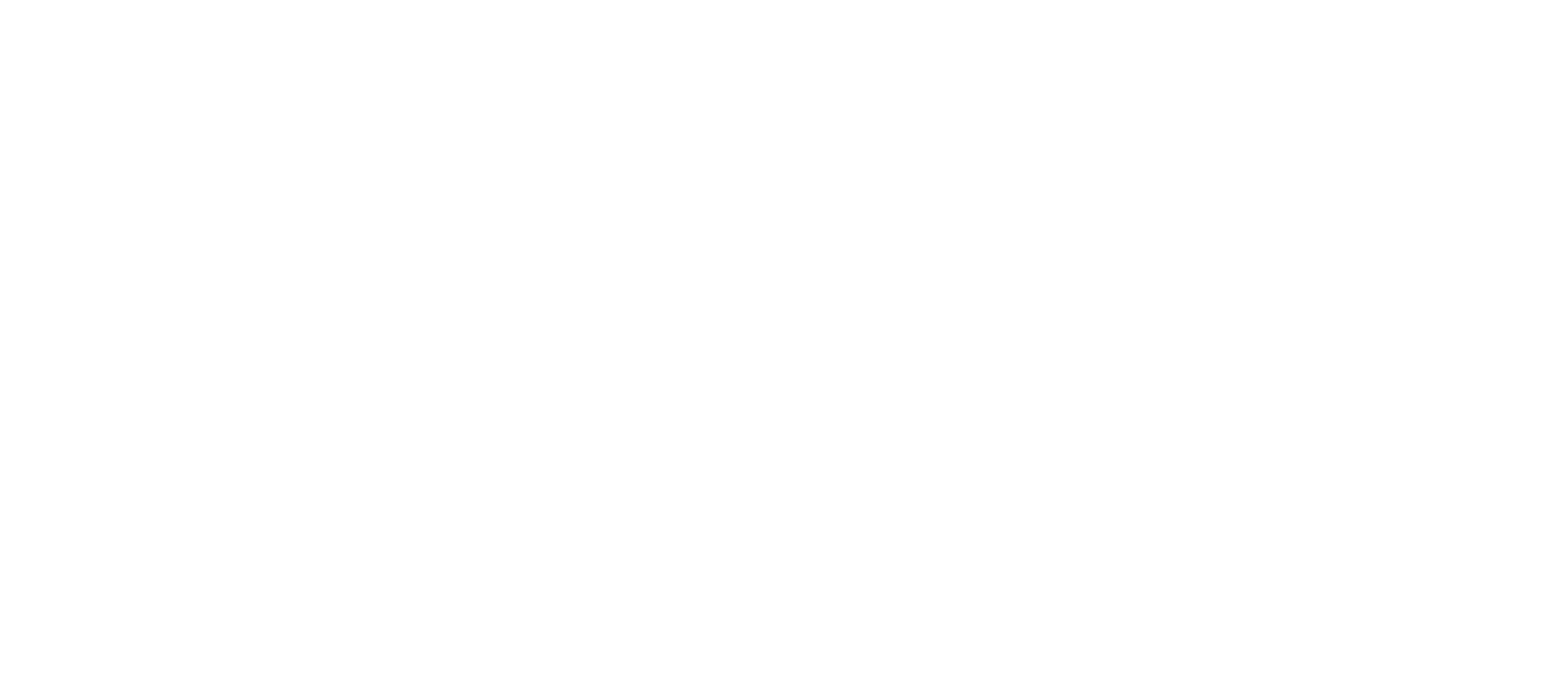 MOTO GUZZI