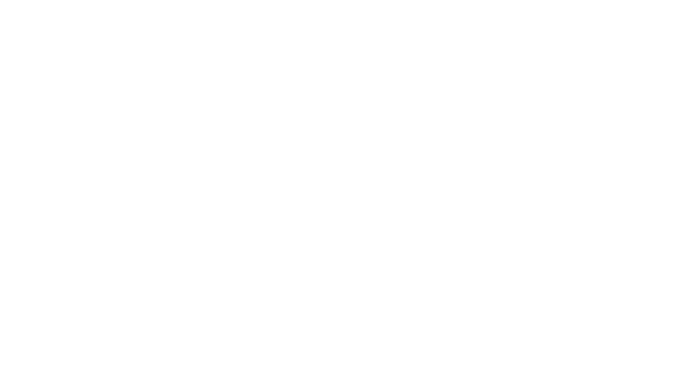 TRAVELER